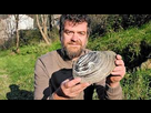 https://image.noelshack.com/fichiers/2025/21/7/1748206035-moule.jpg