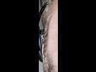 https://image.noelshack.com/fichiers/2025/22/1/1748253109-0af5c7d1-d2d2-4d76-b541-d07149c11f91.jpeg