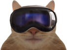 https://image.noelshack.com/fichiers/2025/22/2/1748376746-1707127012-chat.png