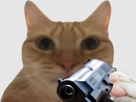 https://image.noelshack.com/fichiers/2025/22/6/1748719198-sans-titrecvbn-2.png