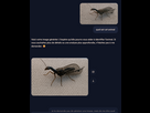 https://image.noelshack.com/fichiers/2025/22/6/1748722038-copilot.png