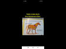 https://www.noelshack.com/2025-22-7-1748763604-screenshot-2025-05-21-11-25-00-539-com-facebook-katana.jpg