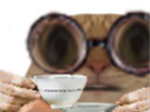 https://image.noelshack.com/fichiers/2025/23/3/1749064764-1696724543-4b8dc83d-249f-4678-9ff9-bf1e8a70b5f0.png