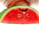 https://image.noelshack.com/fichiers/2025/23/4/1749113788-img-4593.jpeg