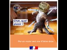 https://image.noelshack.com/fichiers/2025/23/6/1749263552-1626969874-1626967919-image0-54.jpg
