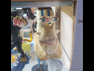 https://image.noelshack.com/fichiers/2025/24/6/1749897772-20250614-110607.jpg