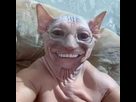 https://image.noelshack.com/fichiers/2025/25/2/1750120530-fb-img-1734782379312.jpg