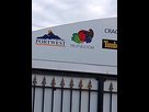 https://image.noelshack.com/fichiers/2025/25/3/1750259636-the-fruit-of-the-loom-cornucopia-logo-absolutely-existed-v0-xyx2zqwjc7ec1.jpeg