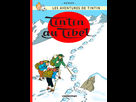 https://image.noelshack.com/fichiers/2025/25/4/1750364597-tintin-au-tibet.jpg