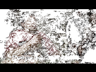 https://image.noelshack.com/fichiers/2025/25/5/1750408226-58c365fa-2b8a-4c35-b2b6-7e5eed1a6595.gif