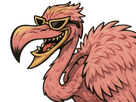 https://image.noelshack.com/fichiers/2025/25/6/1750460595-doflamingo-fenicottero.png