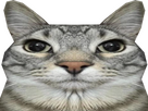https://image.noelshack.com/fichiers/2025/25/7/1750551293-lecon.png