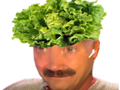 https://image.noelshack.com/fichiers/2025/26/3/1750815305-3.png