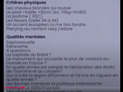 https://image.noelshack.com/fichiers/2025/26/4/1750930399-capture-d-cran-2025-06-26-113313.png