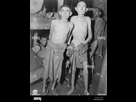 https://image.noelshack.com/fichiers/2025/26/4/1750965209-les-hommes-souffrant-de-faim-dans-un-camp-de-concentration-nazi-ampfing-allemagne-1945-j7ac52.jpg