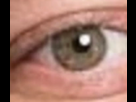 https://image.noelshack.com/fichiers/2025/27/5/1751624373-capture-d-e-cran-2025-07-04-a-12-19-27.png