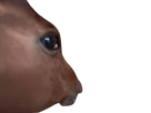 https://image.noelshack.com/fichiers/2025/27/7/1751829958-untitled-23-removebg-preview.png