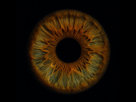 https://image.noelshack.com/fichiers/2025/28/2/1751930000-file-00000000f07061f8afb98639f9c3a1ad.jpg
