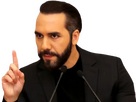 https://image.noelshack.com/fichiers/2025/28/2/1751961999-nayib-bukele-rmenace.png