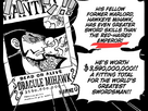 https://image.noelshack.com/fichiers/2025/28/2/1751998233-mihawk-sup-shanks.png