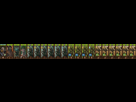 https://image.noelshack.com/fichiers/2025/29/4/1752714955-durthu2.jpg