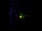 https://image.noelshack.com/fichiers/2025/29/4/1752783950-pxl-20250717-202136984-night.jpg