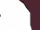 https://image.noelshack.com/fichiers/2025/29/7/1753035704-21-7zu8ogiu.png