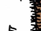 https://image.noelshack.com/fichiers/2025/29/7/1753035844-54-7zu8ogiu.png