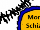 https://image.noelshack.com/fichiers/2025/29/7/1753035921-70-7zu8ogiu.png