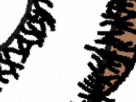 https://image.noelshack.com/fichiers/2025/29/7/1753035952-62-7zu8ogiu.png
