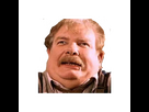 https://image.noelshack.com/fichiers/2025/30/1/1753127188-4208273-512.png