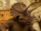 https://image.noelshack.com/fichiers/2025/30/1/1753134715-protarchaeopteryx-stickers-removebg-preview-1.jpg