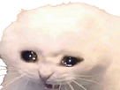 https://image.noelshack.com/fichiers/2025/30/3/1753241771-1000001098.png