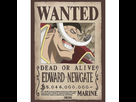 https://image.noelshack.com/fichiers/2025/30/4/1753332833-one-piece-poster-wanted-barbe-blanche-1200x630.jpg