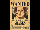 https://image.noelshack.com/fichiers/2025/30/4/1753332885-affiche-wanted-one-piece-shanks-le-roux.jpg