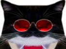 https://image.noelshack.com/fichiers/2025/30/4/1753362115-reduni.png