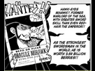https://image.noelshack.com/fichiers/2025/31/6/1754135046-mihawk-bounty.png