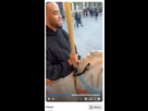 https://image.noelshack.com/fichiers/2025/33/3/1755075652-1713954518-2024-04-24-12-28-26-watch-nous-streamable-brave.png