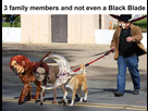 https://image.noelshack.com/fichiers/2025/33/6/1755365740-mihawk-figarland.jpg