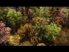 https://image.noelshack.com/fichiers/2025/34/1/1755481628-riften-trees-01.jpeg