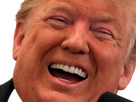https://image.noelshack.com/fichiers/2025/34/6/1755938941-trump-rire-knifos.png