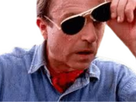 https://image.noelshack.com/fichiers/2025/35/3/1756307731-lunettes-noires-alan-grant.png