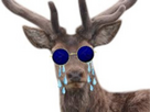 https://image.noelshack.com/fichiers/2025/36/6/1757117418-cerf-qui-pleure.png