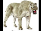 https://image.noelshack.com/fichiers/2025/37/2/1757434757-lion-des-cavernes.png