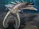 https://image.noelshack.com/fichiers/2025/37/2/1757434901-anomalocaris.png