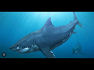 https://image.noelshack.com/fichiers/2025/37/2/1757439165-megalodon.png