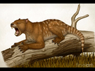 https://image.noelshack.com/fichiers/2025/37/3/1757461484-anteosaure.png