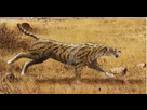 https://image.noelshack.com/fichiers/2025/37/3/1757522400-machairodus.png