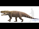 https://image.noelshack.com/fichiers/2025/37/3/1757524171-saurosuchus.png