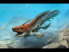 https://image.noelshack.com/fichiers/2025/37/4/1757542340-xenacanthus.png